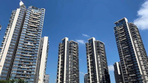 領全國風氣之先的深圳物管行業(yè)主營業(yè)務收入首破千億