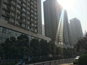 鄭州未來國際項目綜合分析 優勢、不足及周邊房產中介評價